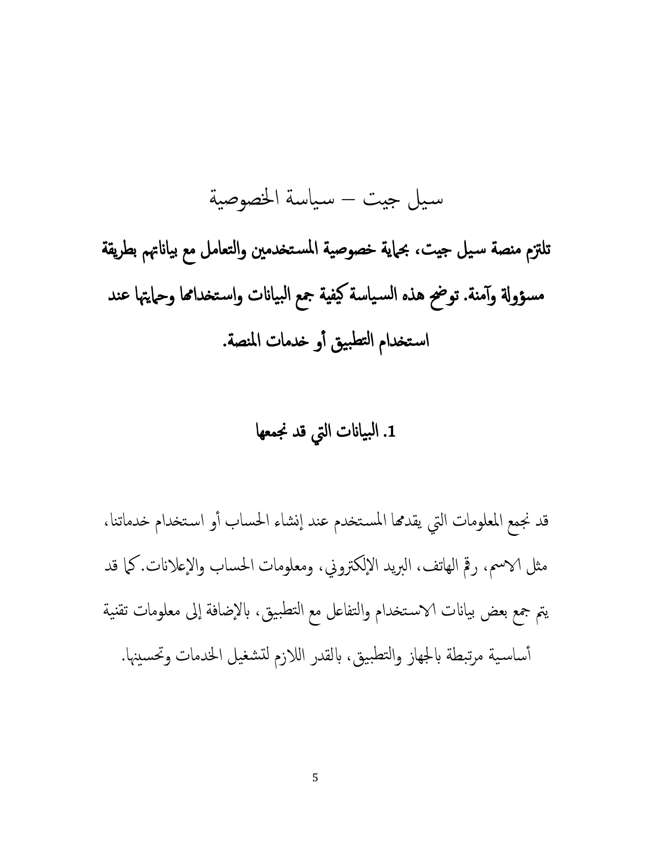 سياسة الخصوصية — صفحة 5